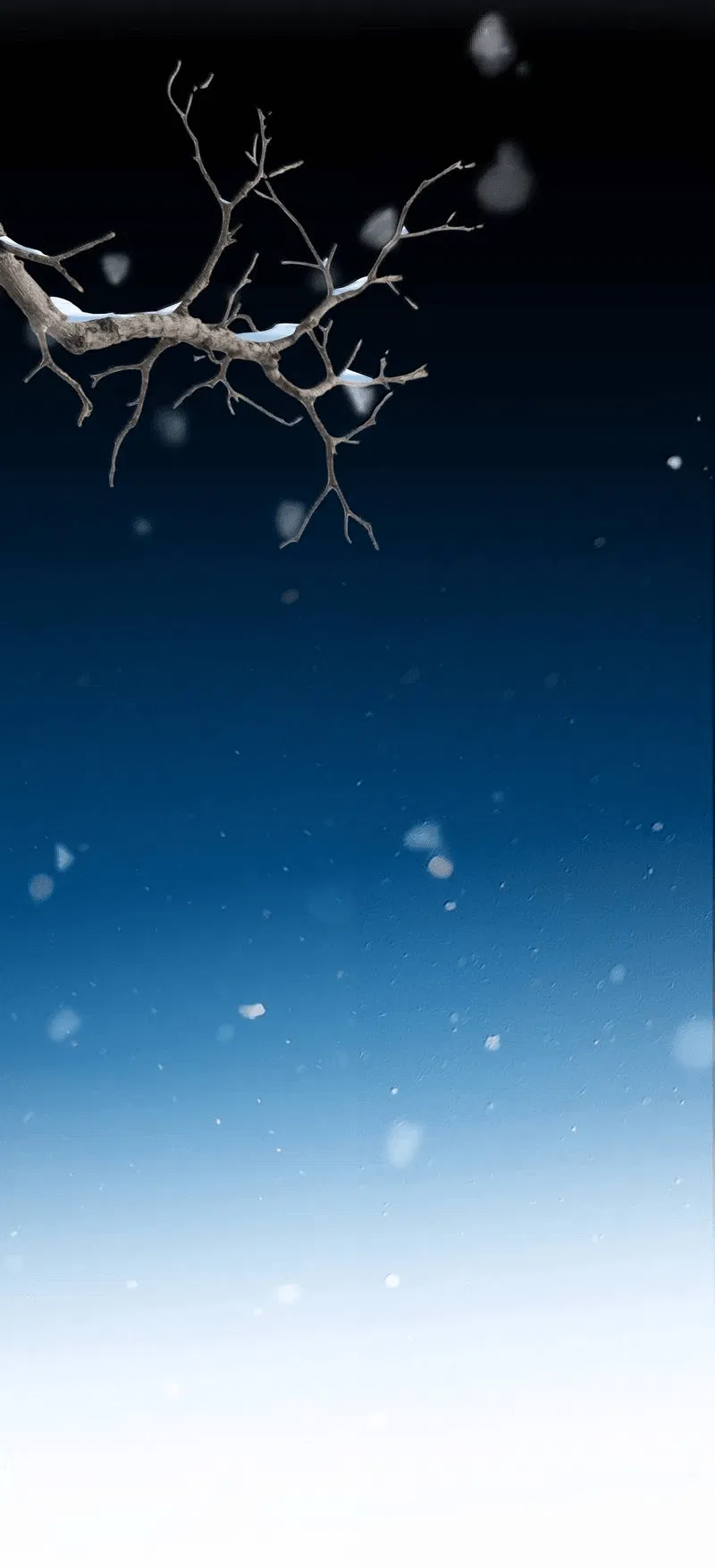 Манга Слухи о королеве лгали?! - Глава 99 Страница 8