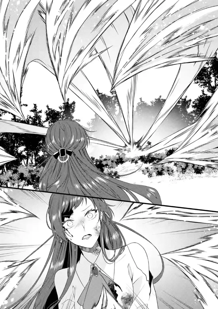 Манга Маг-артефактор, скрывающий силу S-ранга - Глава 9.1 Страница 7