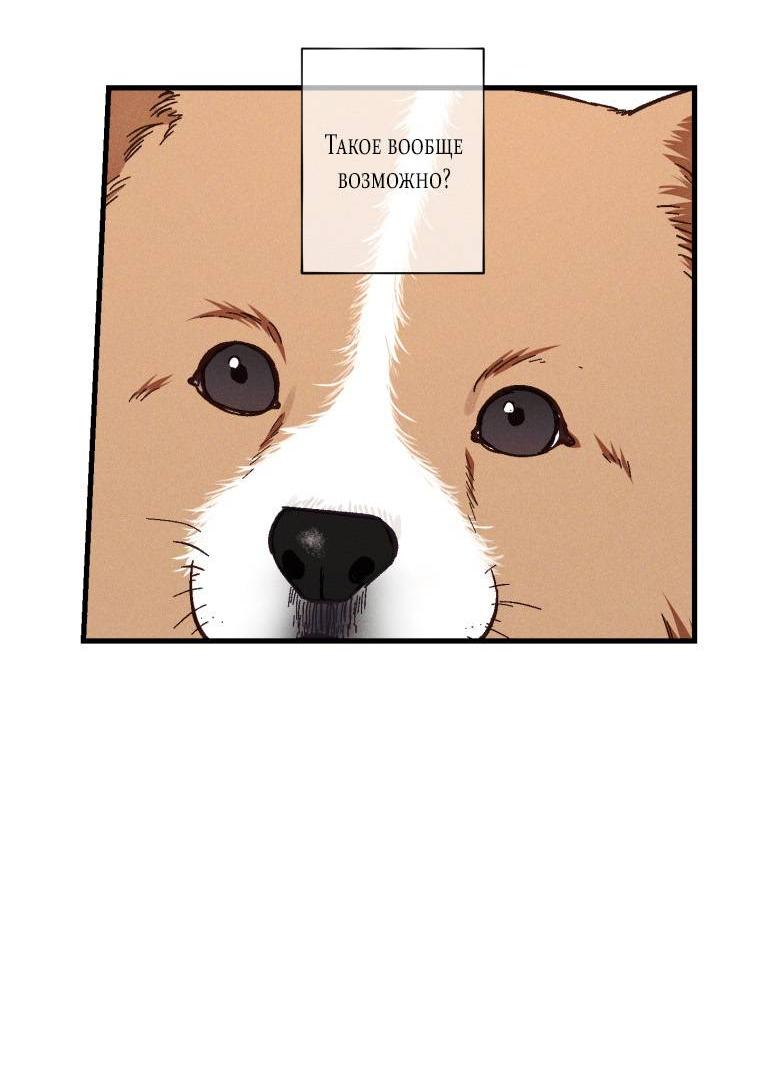 Манга Сказочный бизнес - Глава 17 Страница 33