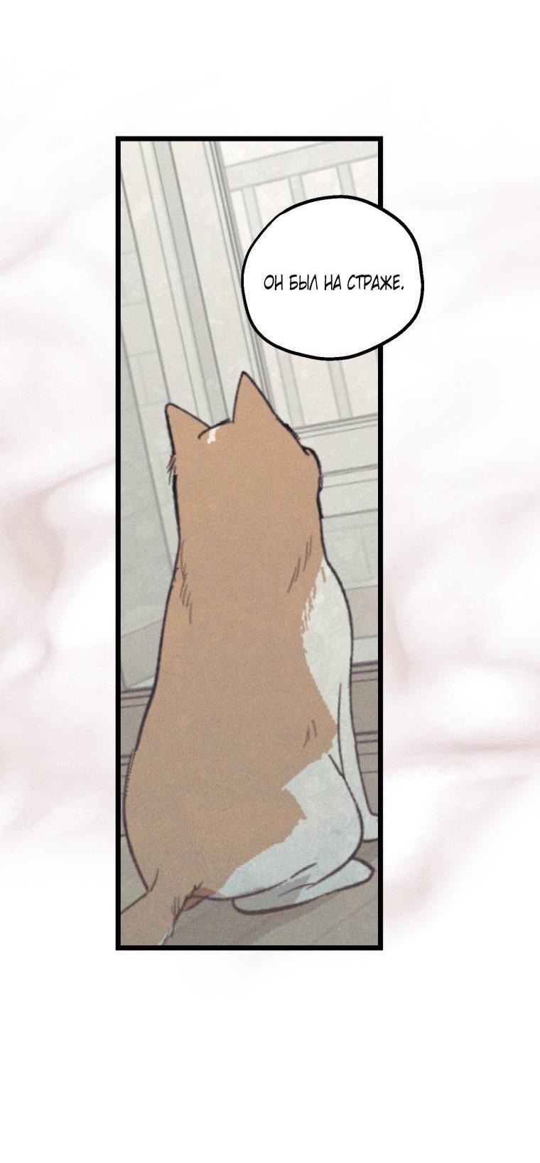 Манга Сказочный бизнес - Глава 19 Страница 15