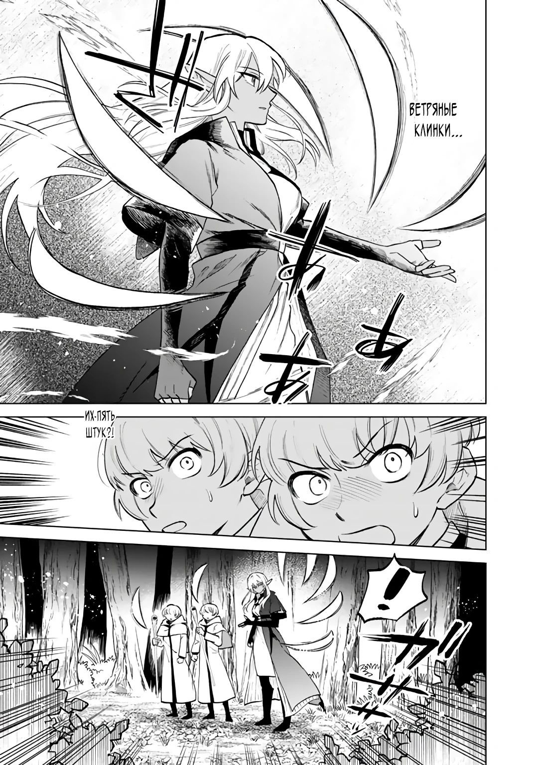 Манга Тёмная эльфийка телом, но сердцем — старик - Глава 13 Страница 11