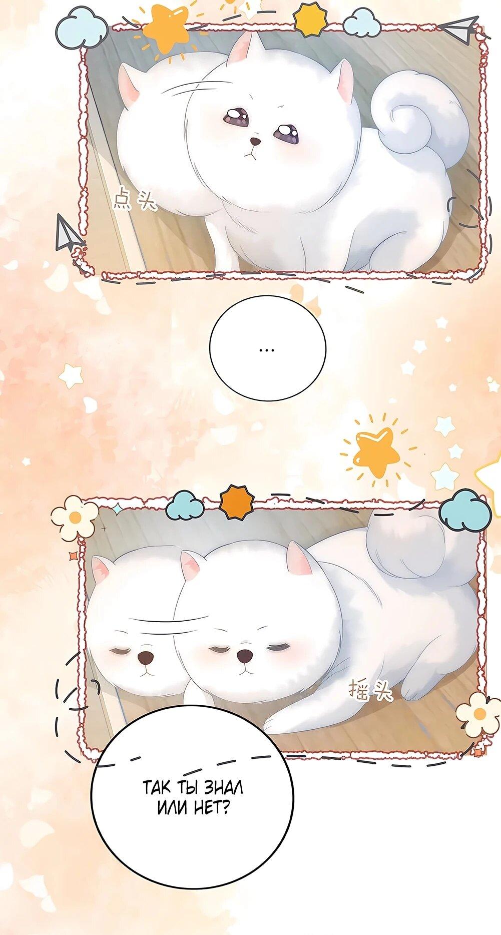 Манга Возвращение королевы мести - Глава 15 Страница 5