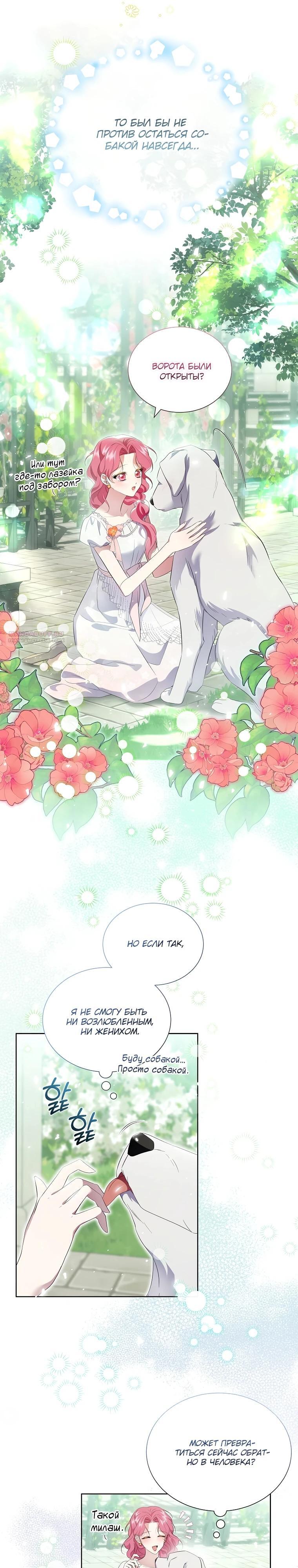 Манга Если вами одержим милый главный герой - Глава 14 Страница 6