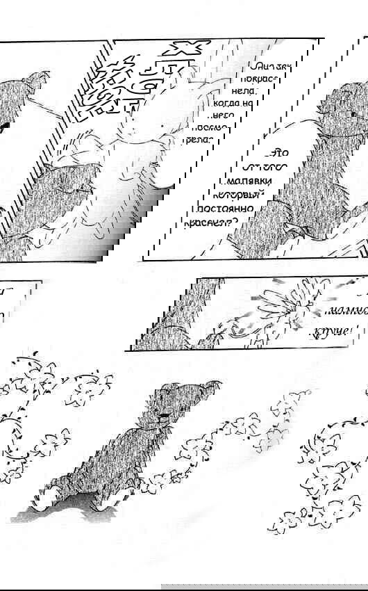 Манга Сакура - повелительница карт - Глава 48 Страница 8
