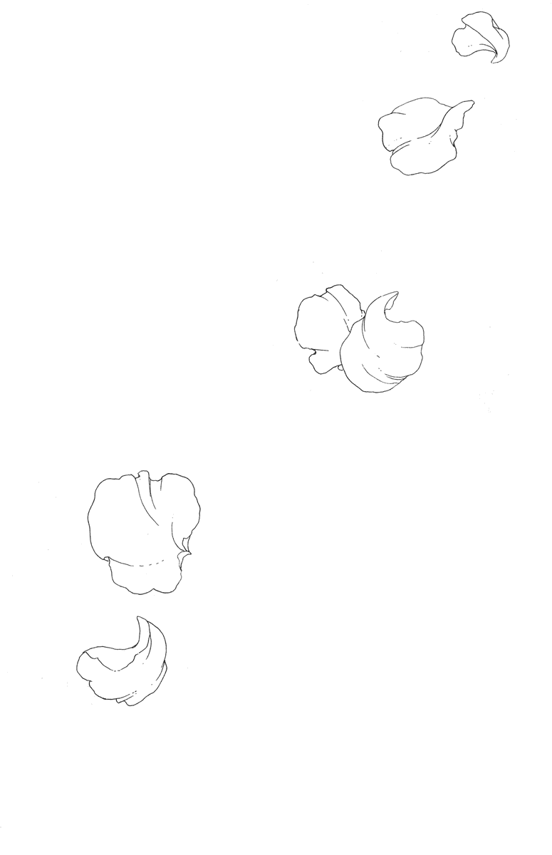 Манга Сакура - повелительница карт - Глава 6 Страница 7