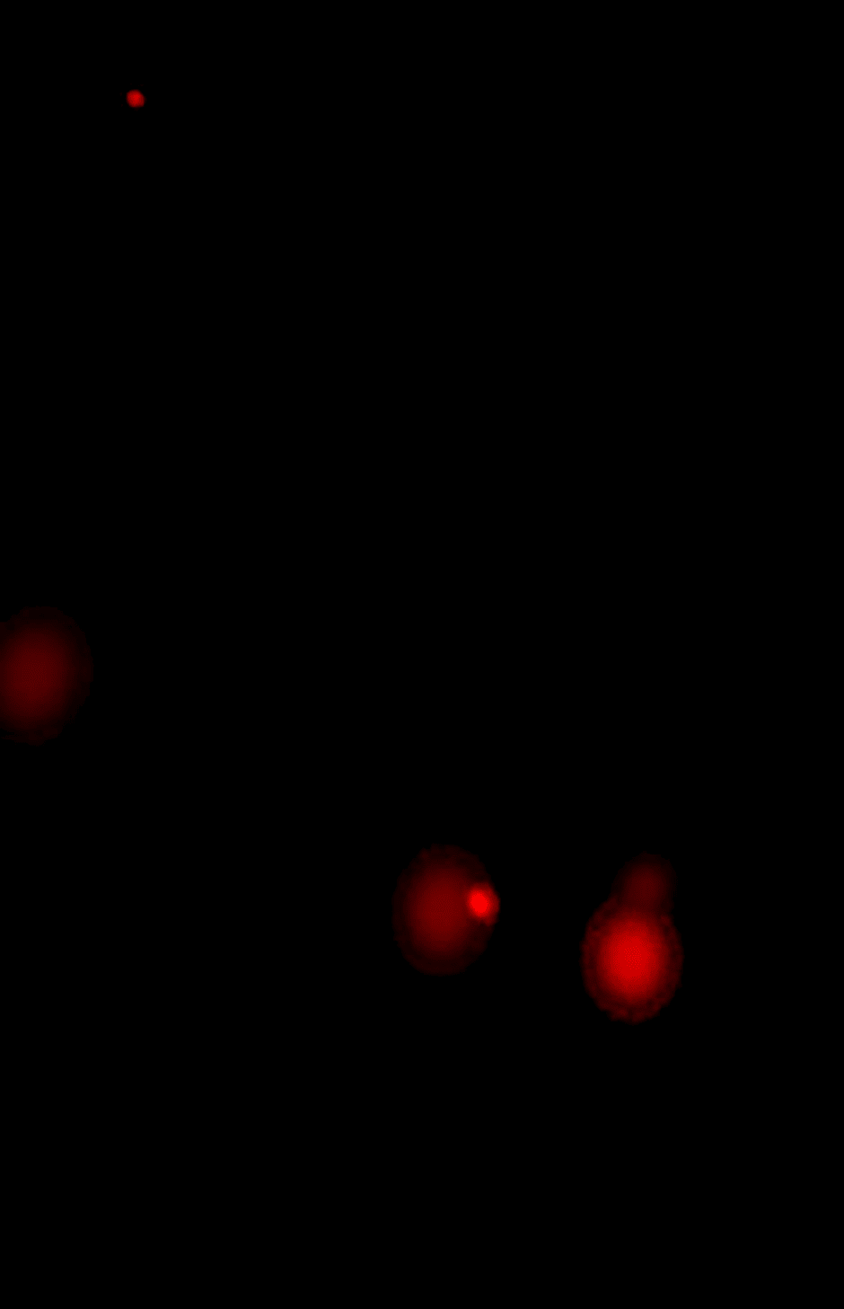 Манга Ангел Томагавк (перезапуск) - Глава 49 Страница 24