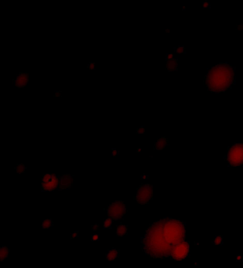 Манга Ангел Томагавк (перезапуск) - Глава 45 Страница 6