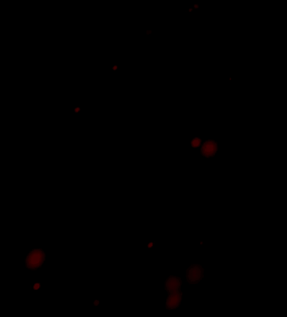 Манга Ангел Томагавк (перезапуск) - Глава 45 Страница 5