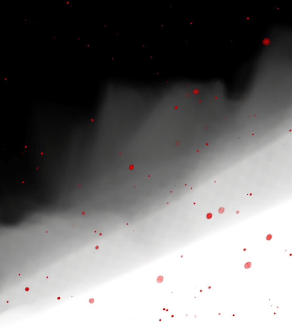 Манга Ангел Томагавк (перезапуск) - Глава 44 Страница 13