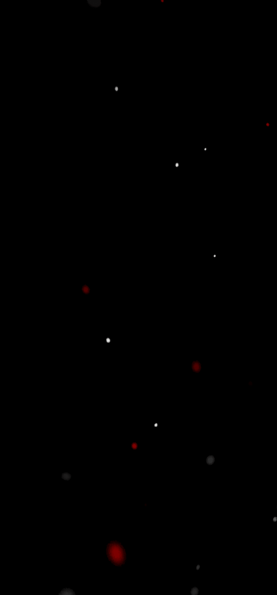 Манга Ангел Томагавк (перезапуск) - Глава 37 Страница 46