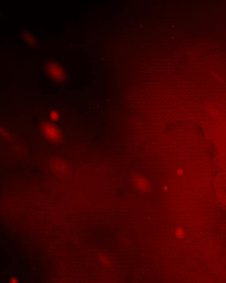 Манга Ангел Томагавк (перезапуск) - Глава 17 Страница 55