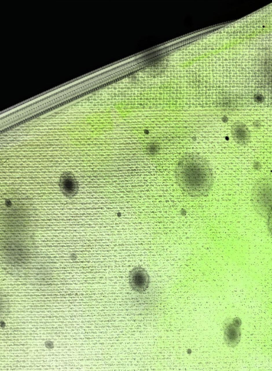 Манга Ангел Томагавк (перезапуск) - Глава 13 Страница 61