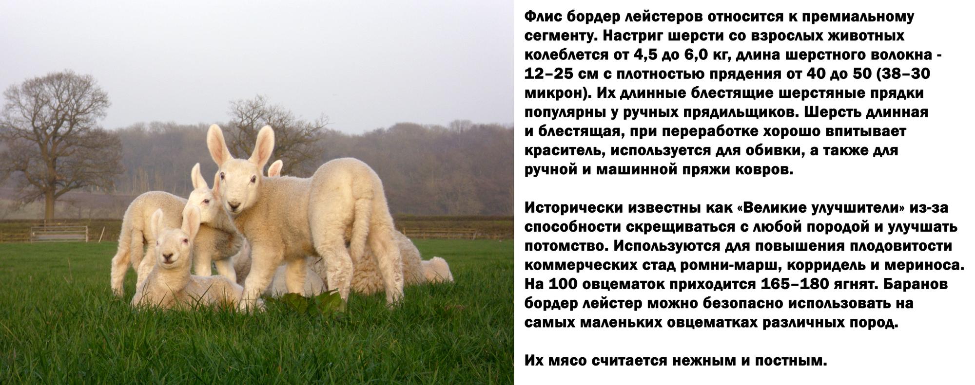 Манга История молодой невесты - Глава 107 Страница 45