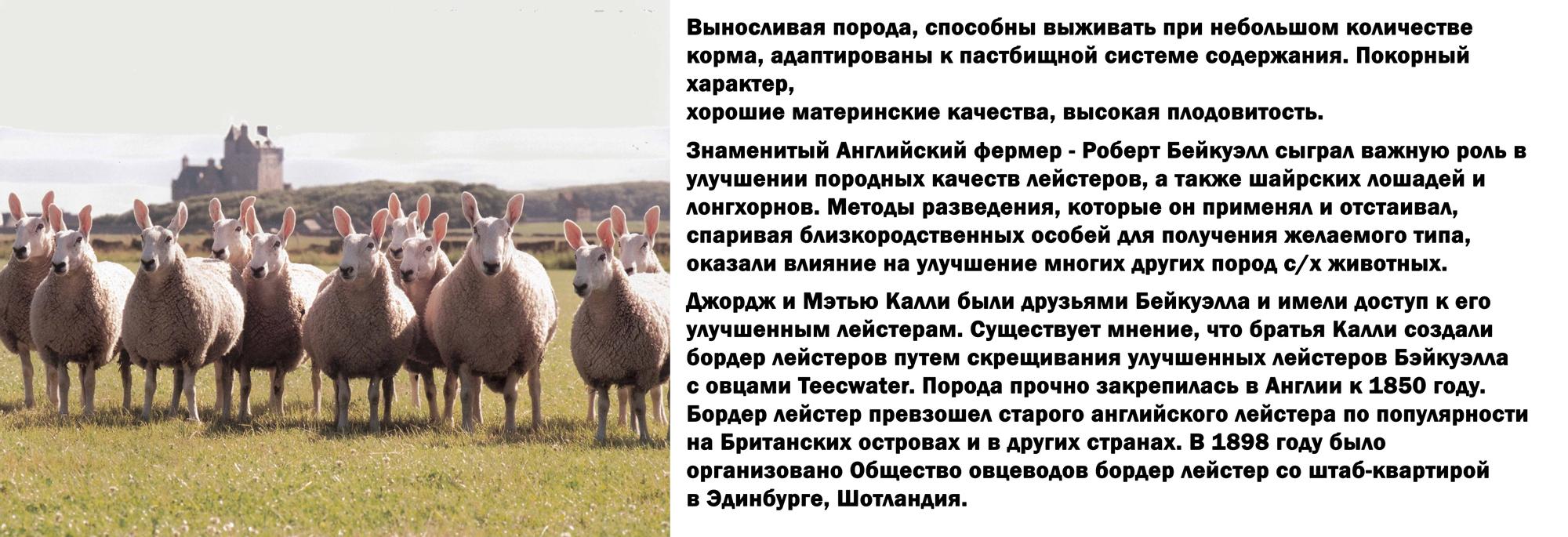 Манга История молодой невесты - Глава 107 Страница 46