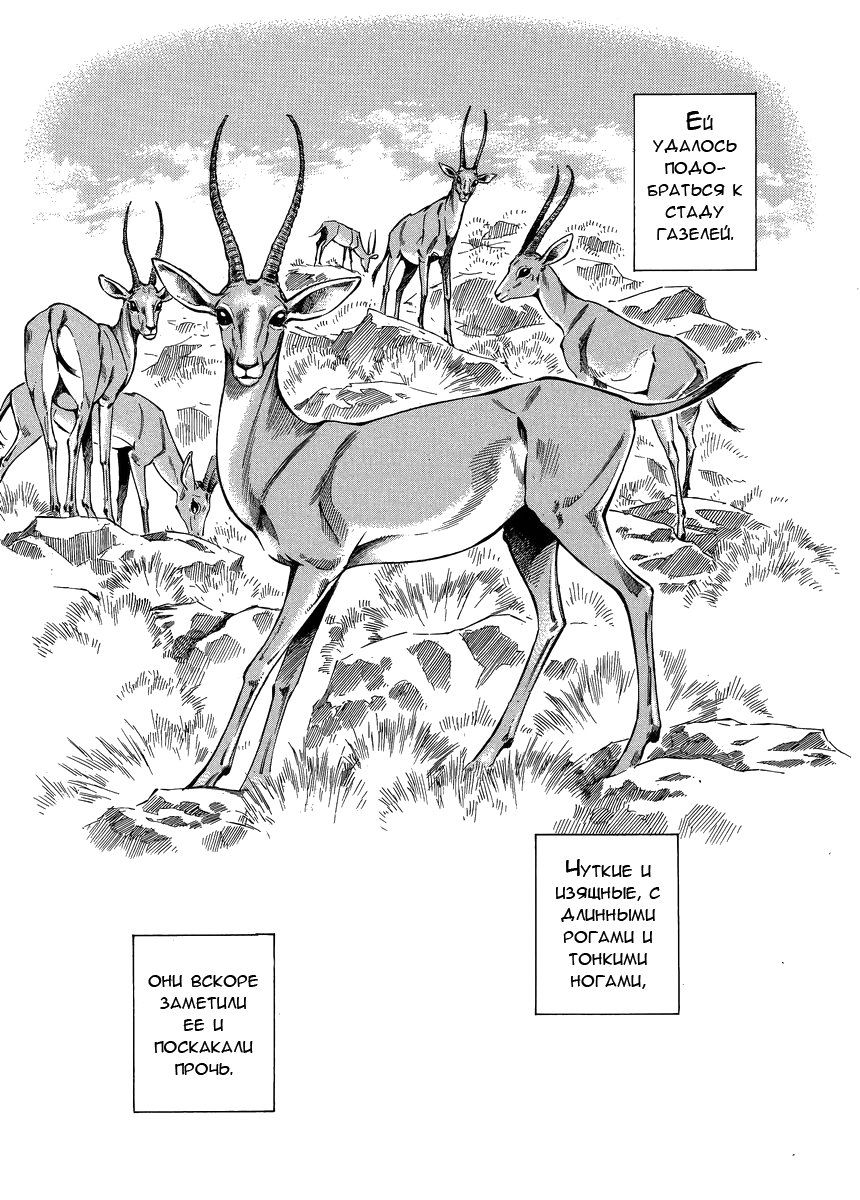 Манга История молодой невесты - Глава 23 Страница 16