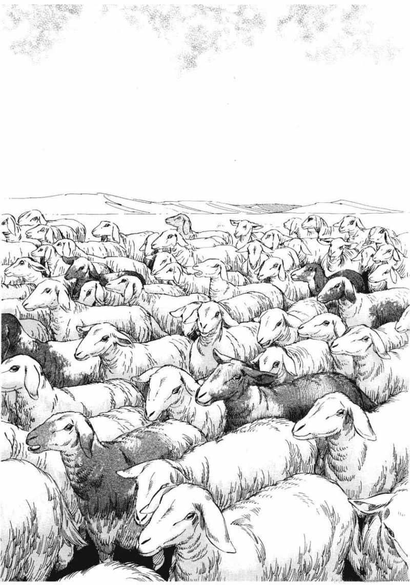 Манга История молодой невесты - Глава 4 Страница 24