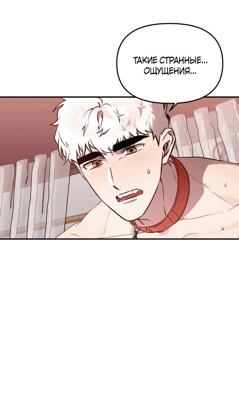 Манга Волк в клетке - Глава 24 Страница 9