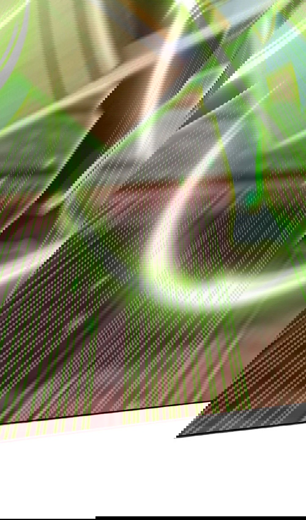 Манга Я шокировал свою жену-императрицу, я непобедим - Глава 22 Страница 12