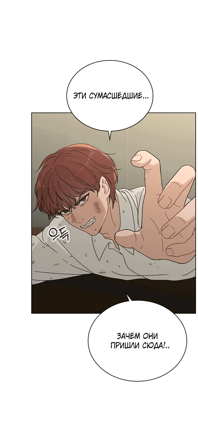 Манга Любовный ревизор - Глава 5 Страница 52