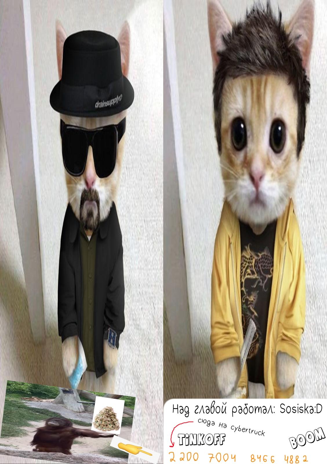 Манга Я полюбил самую невзрачную девочку в школе - Глава 6 Страница 5