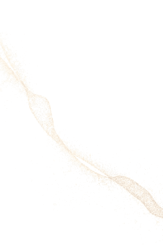 Манга Этой ночью сестрёнка изберёт меня - Глава 54 Страница 57