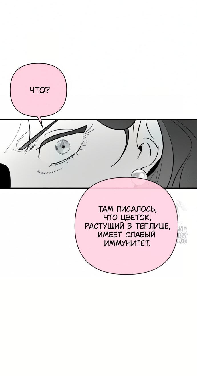 Манга Этой ночью сестрёнка изберёт меня - Глава 7 Страница 33