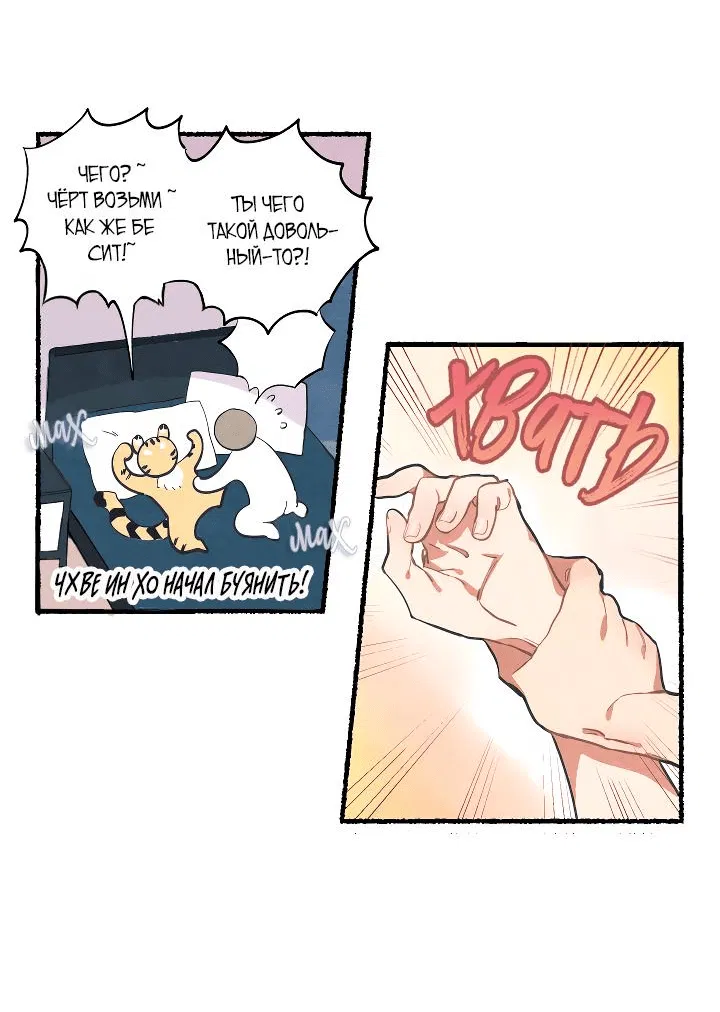 Манга Я воспитал тигрёнка - Глава 5 Страница 11