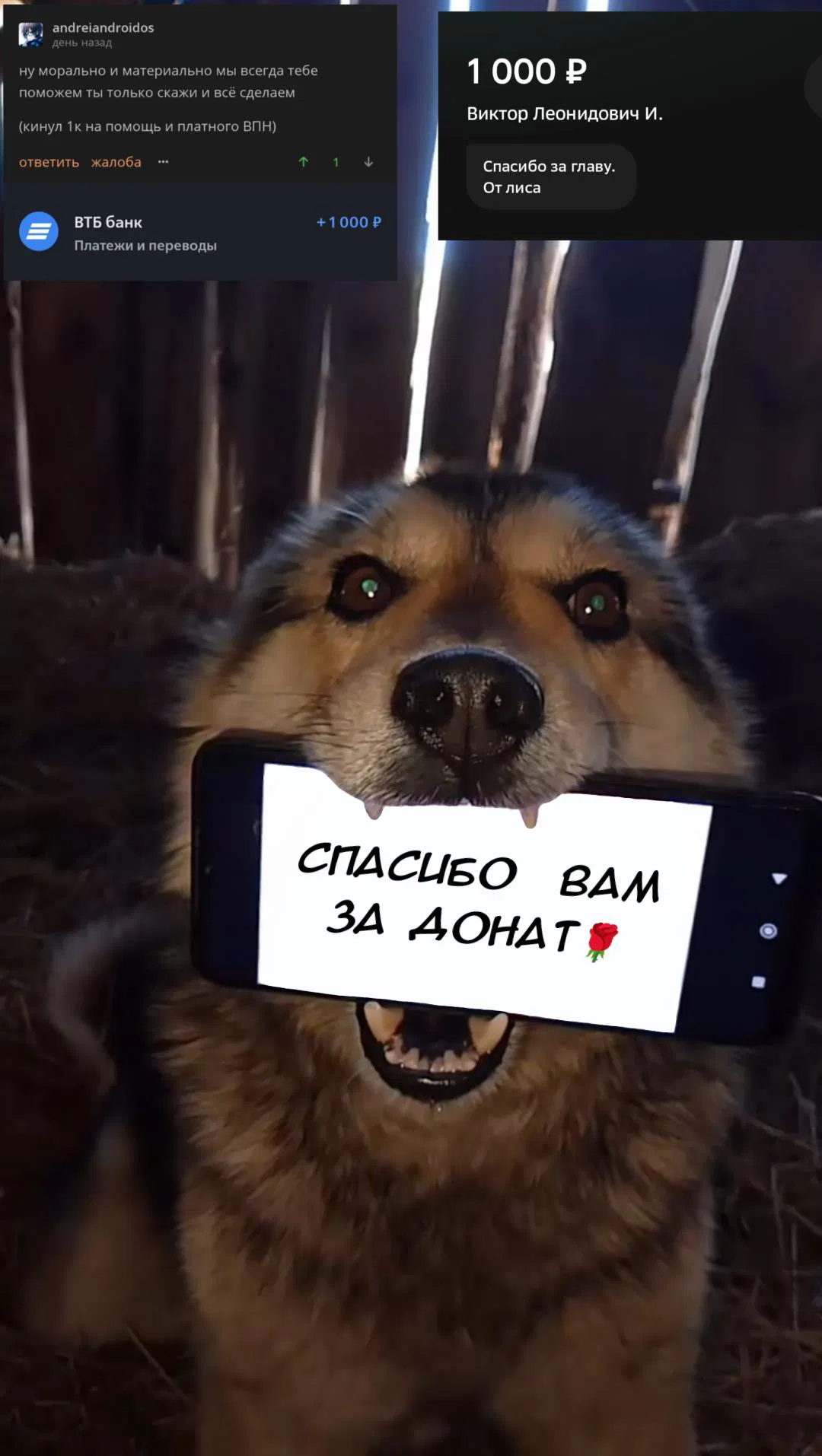 Манга Что будет, если я помогу девушкам, которые ненавидят мужчин? - Глава 14 Страница 21