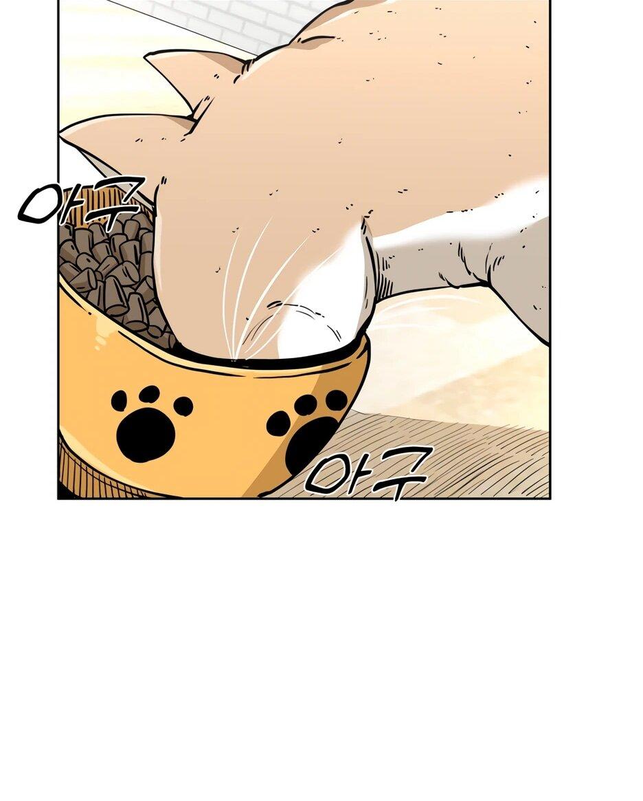 Манга Акула - Глава 255 Страница 61