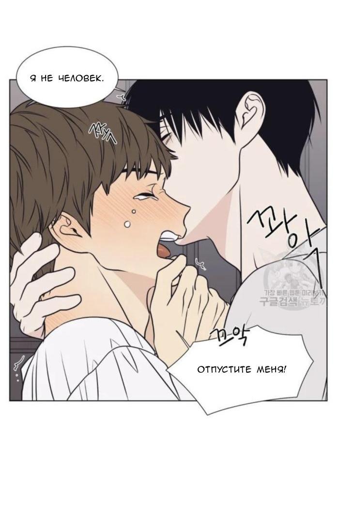 Манга Жуткая история любви Соль Гончхана - Глава 7 Страница 58