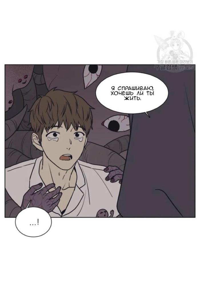 Манга Жуткая история любви Соль Гончхана - Глава 1 Страница 13