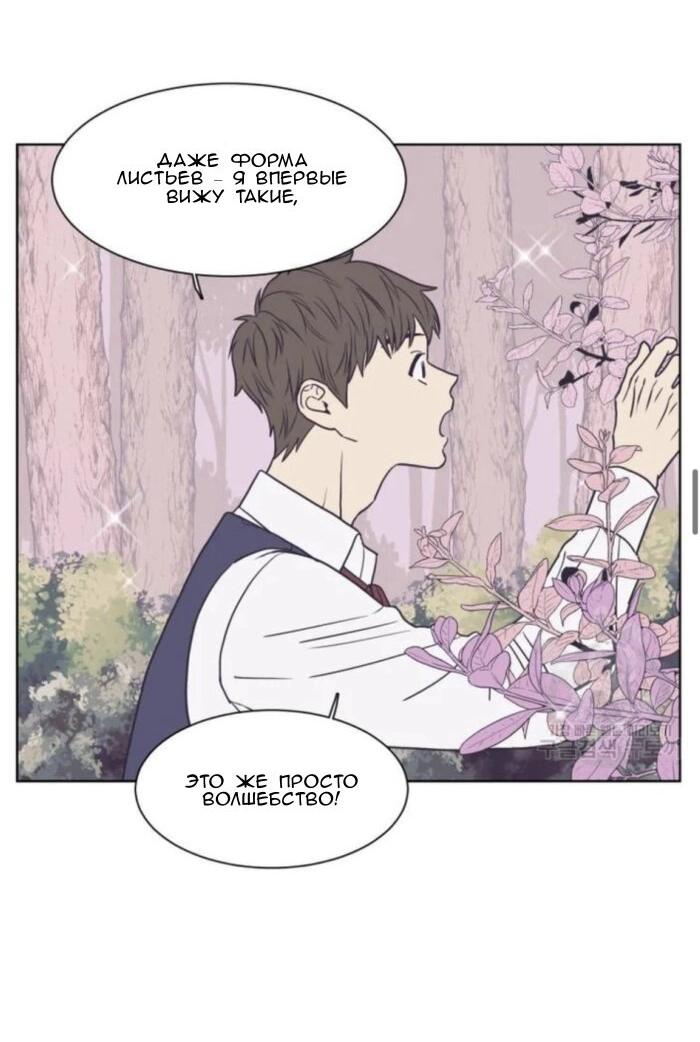 Манга Жуткая история любви Соль Гончхана - Глава 1 Страница 35