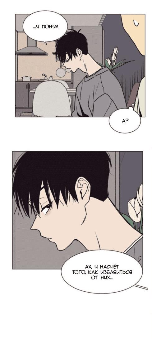 Манга Жуткая история любви Соль Гончхана - Глава 20 Страница 21