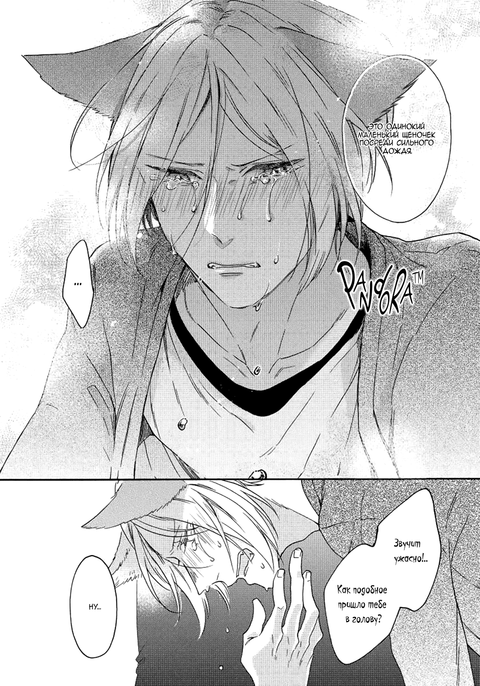 Манга Соблазнение циничного волка - Глава 5 Страница 16