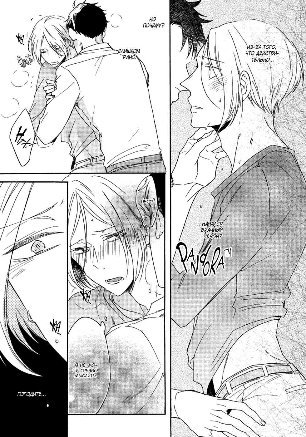 Манга Соблазнение циничного волка - Глава 3 Страница 31
