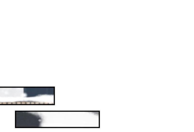 Манга Расцвет - Глава 2 Страница 21