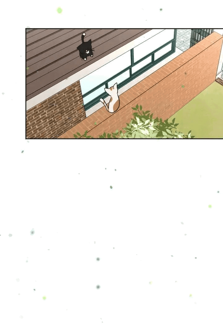 Манга Вор летней ночью! - Глава 6 Страница 11