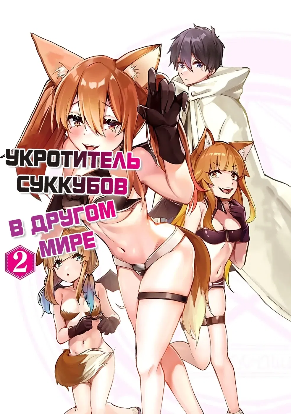 Манга Укротитель суккубов в другом мире - Глава 6 Страница 1