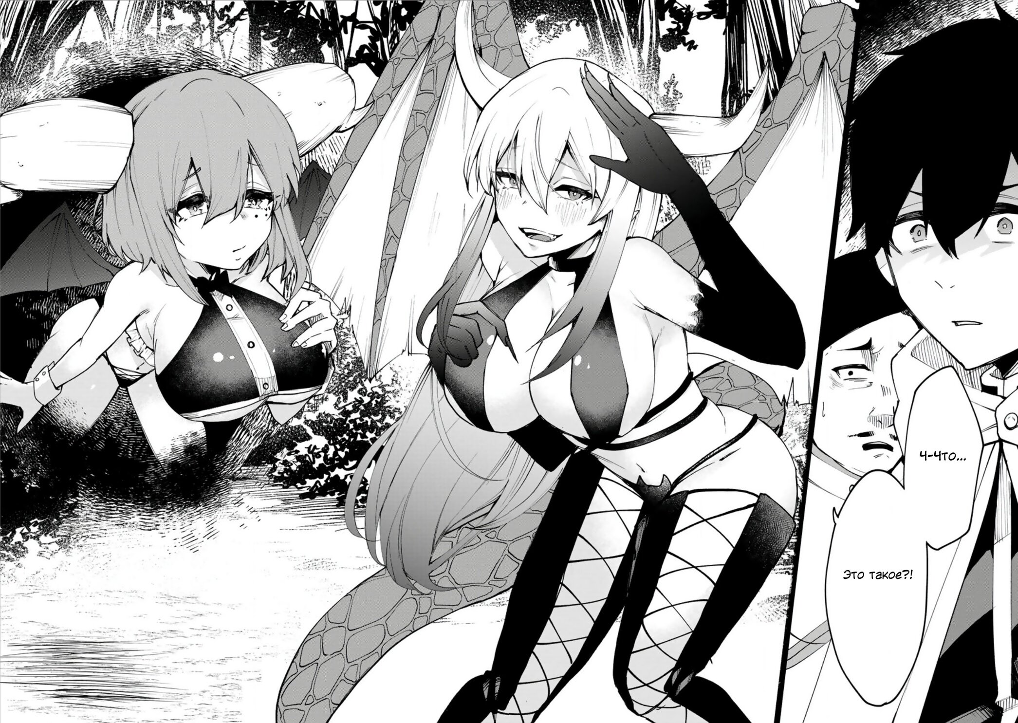 Манга Укротитель суккубов в другом мире - Глава 1 Страница 2