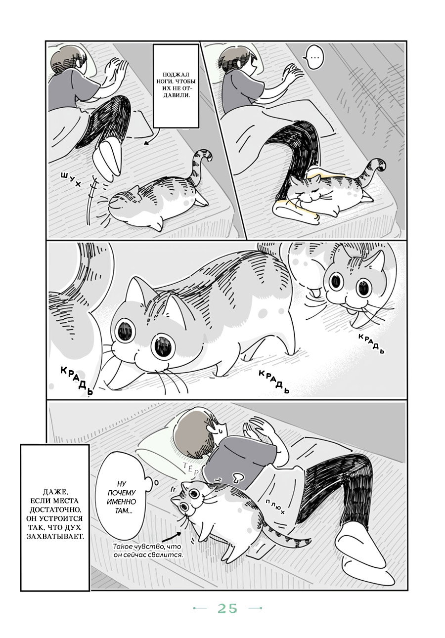Манга Вечера с кошкой - Глава 7 Страница 3