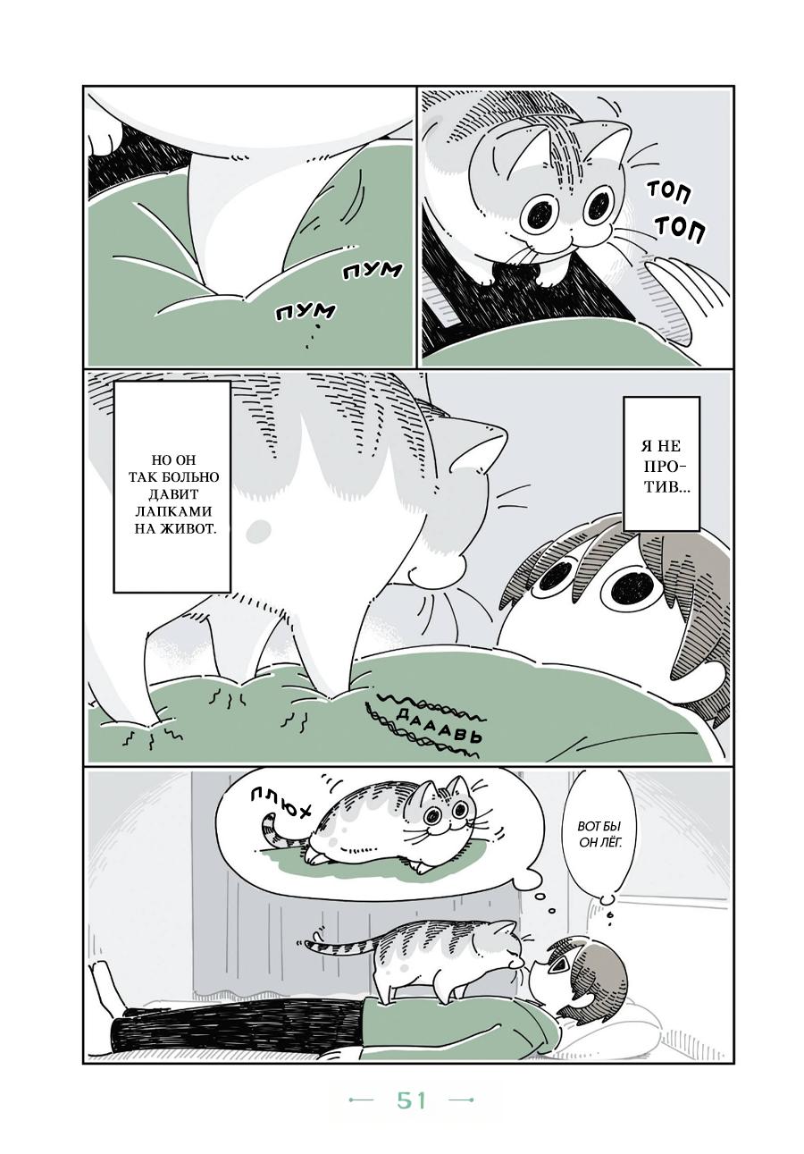 Манга Вечера с кошкой - Глава 20 Страница 2