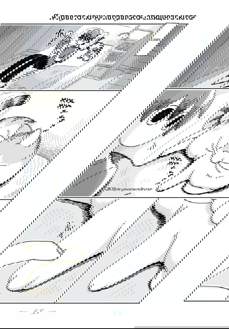 Манга Вечера с кошкой - Глава 11 Страница 1