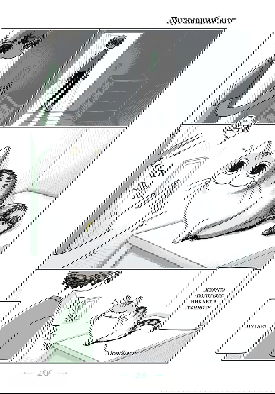 Манга Вечера с кошкой - Глава 8 Страница 1