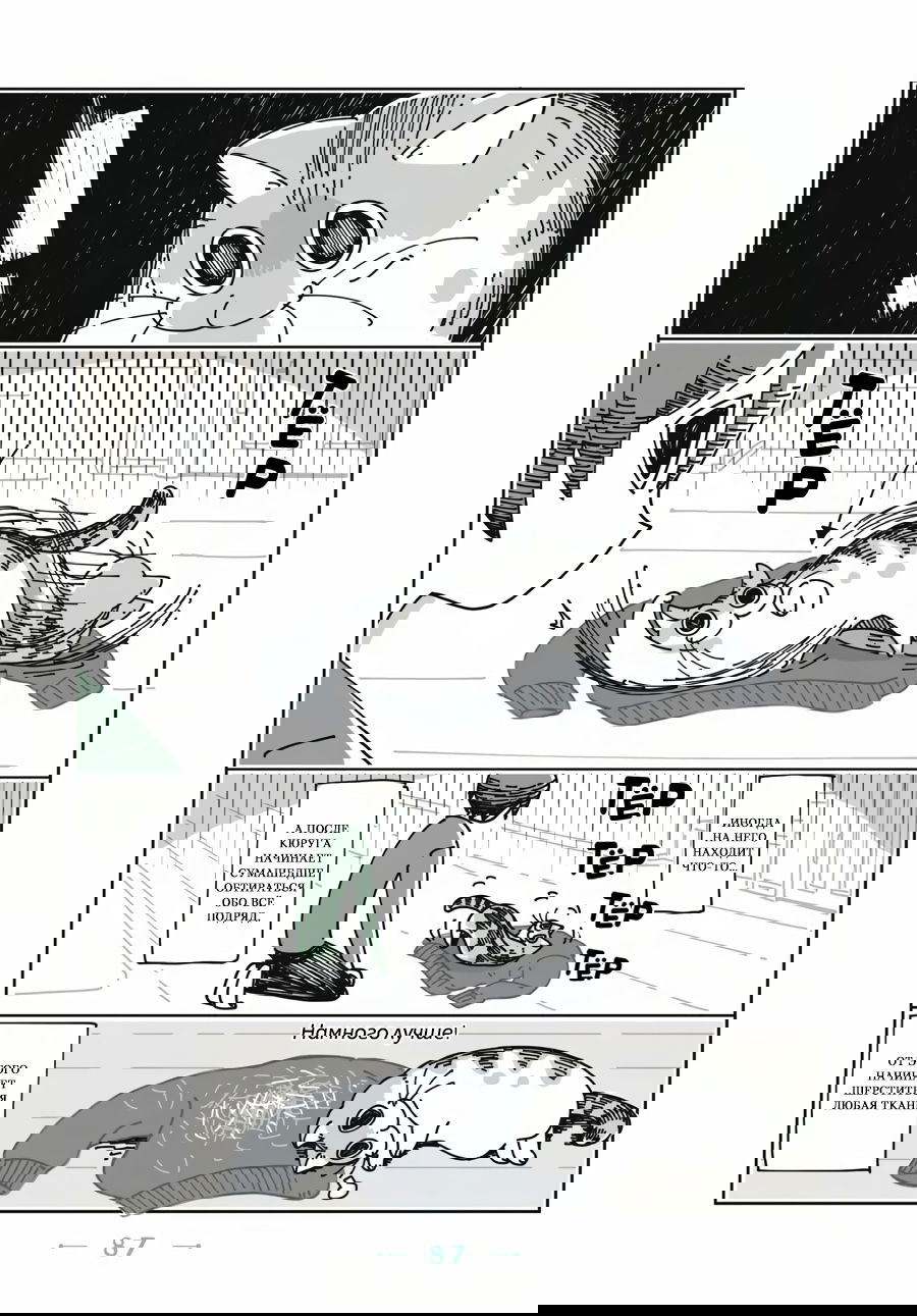 Манга Вечера с кошкой - Глава 21 Страница 4