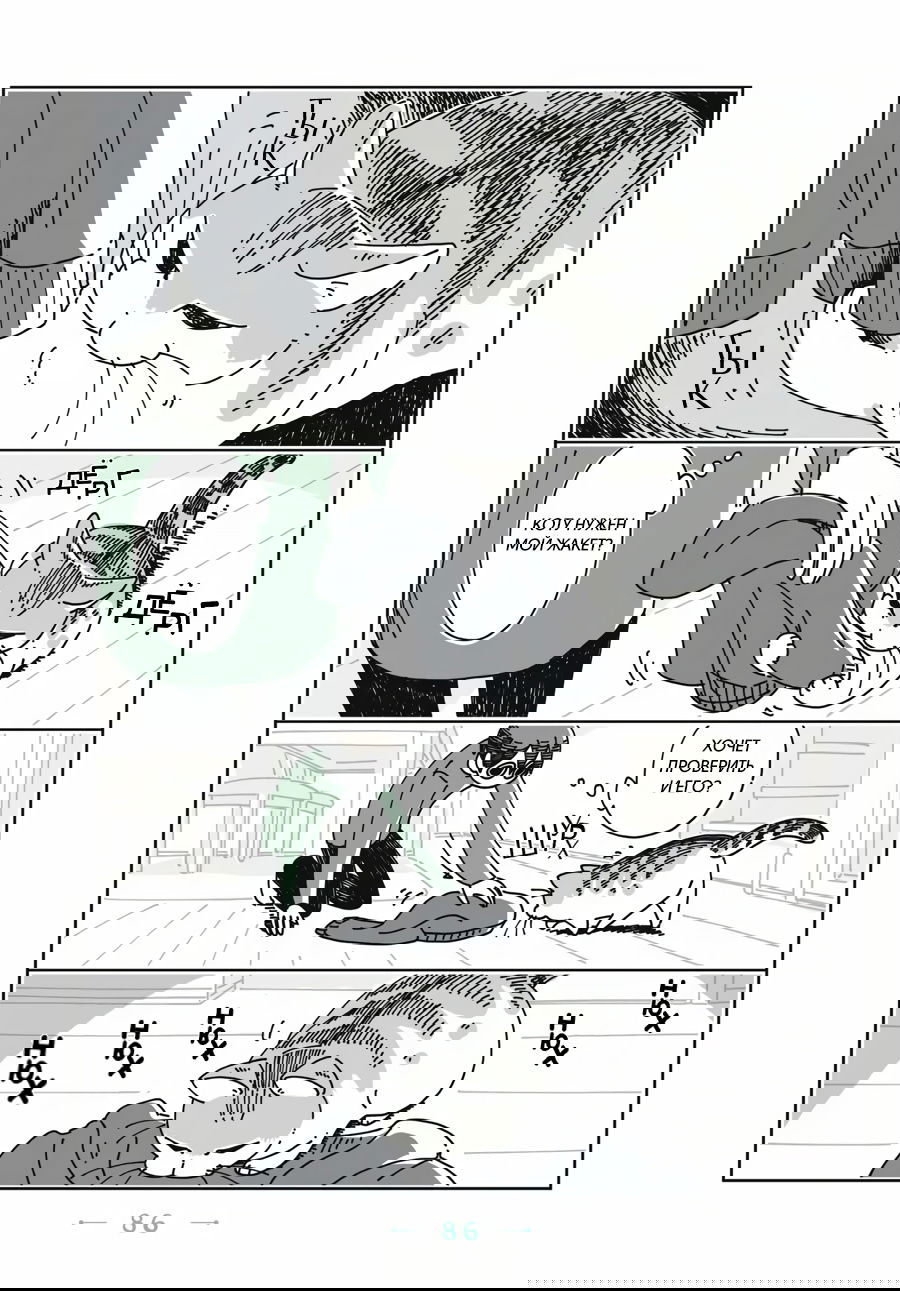 Манга Вечера с кошкой - Глава 21 Страница 3