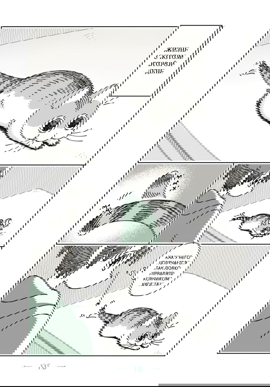 Манга Вечера с кошкой - Глава 1 Страница 10