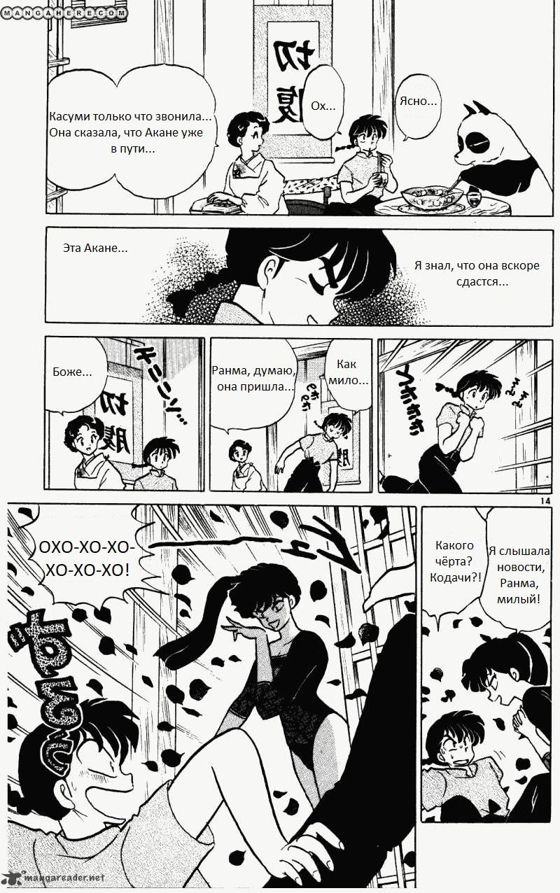 Манга Ранма 1/2 - Глава 8 Страница 15