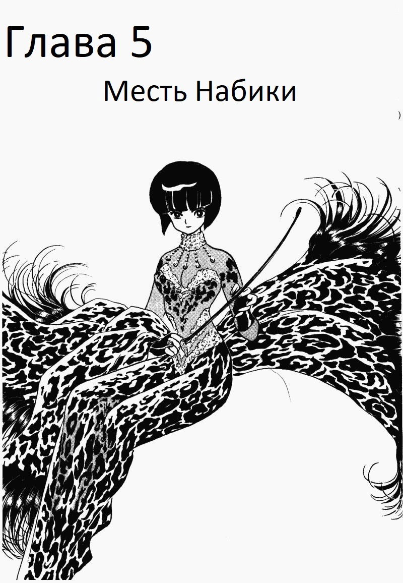 Манга Ранма 1/2 - Глава 5 Страница 2