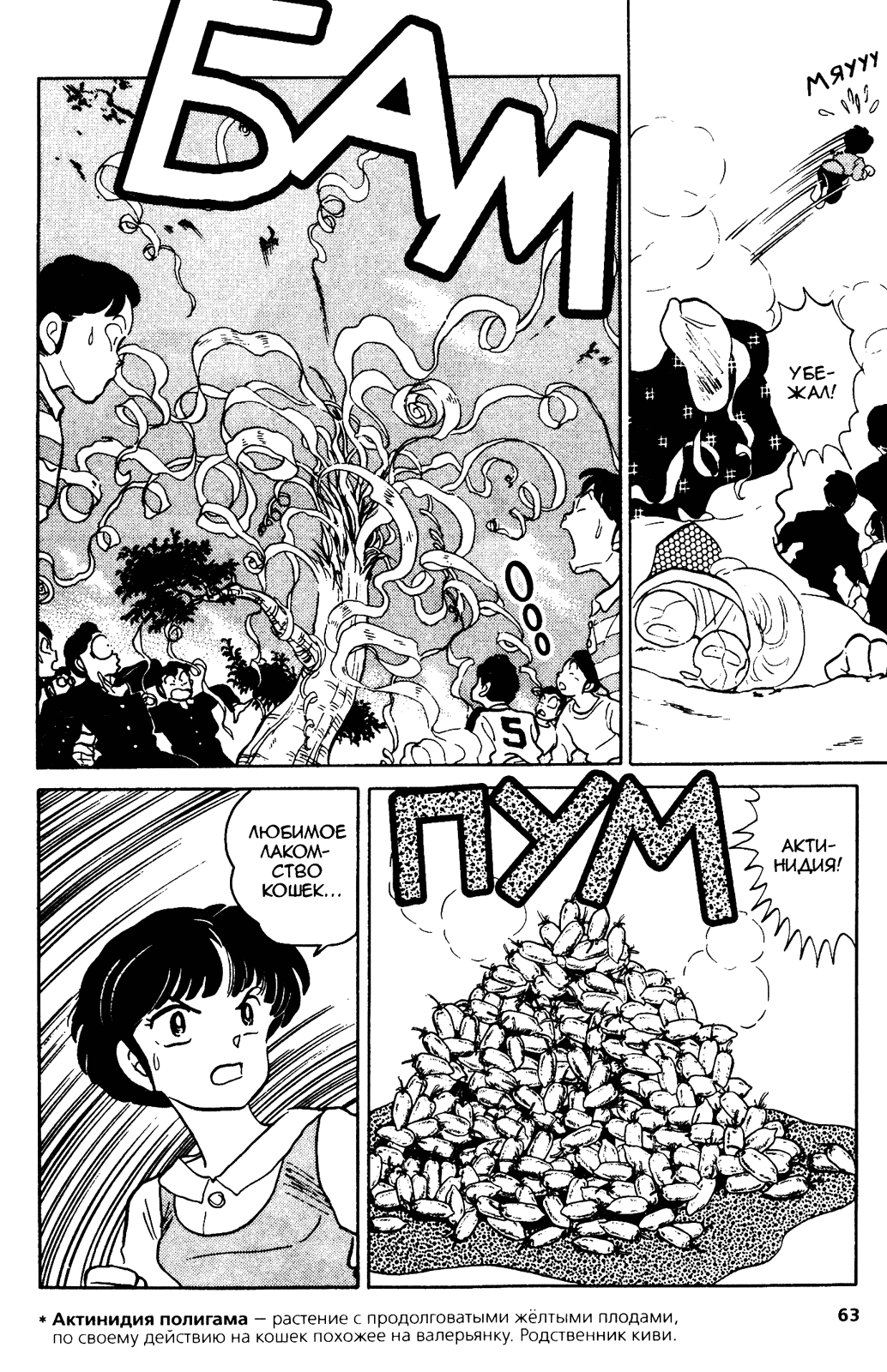 Манга Ранма 1/2 - Глава 40 Страница 11