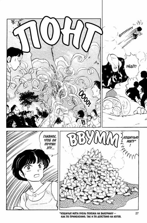 Манга Ранма 1/2 - Глава 5 Страница 11